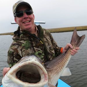 Meet your Posher, Rob